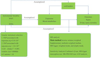 Investigating the impact of human blood metabolites on the Sepsis development and progression: a study utilizing two-sample Mendelian randomization